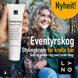 Eventyrskog