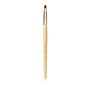 Detail brush