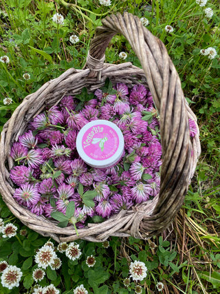 Rose- og raudkløverskrubb