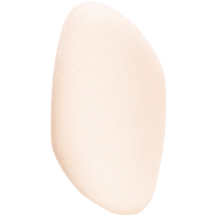 Flocked Sponge