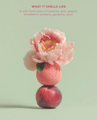 Maria Nila Beauty Boxes AW25